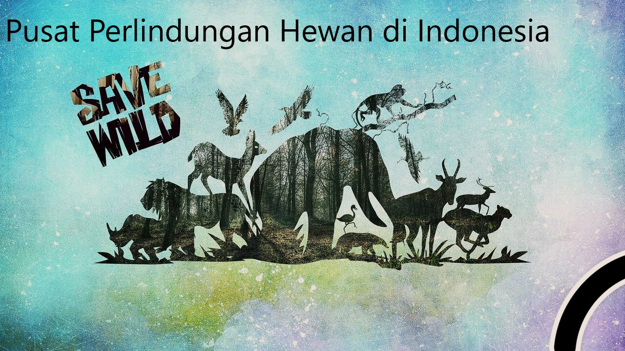 Pusat Perlindungan Hewan di Indonesia