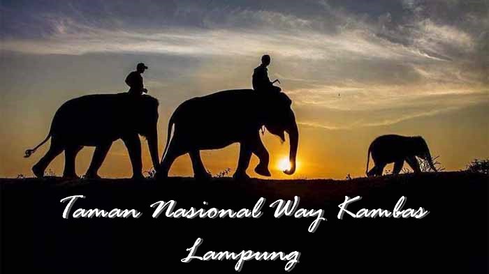 Taman Nasional Way Kambas, Lampung