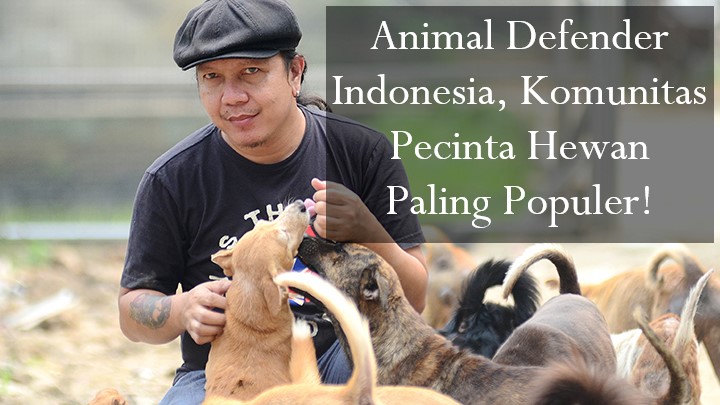 Animal Defender Indonesia, Komunitas Pecinta Hewan Paling Populer!