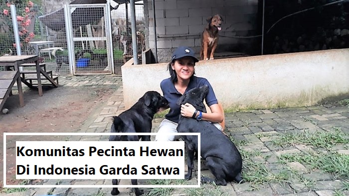 Komunitas Pecinta Hewan Di Indonesia Garda Satwa