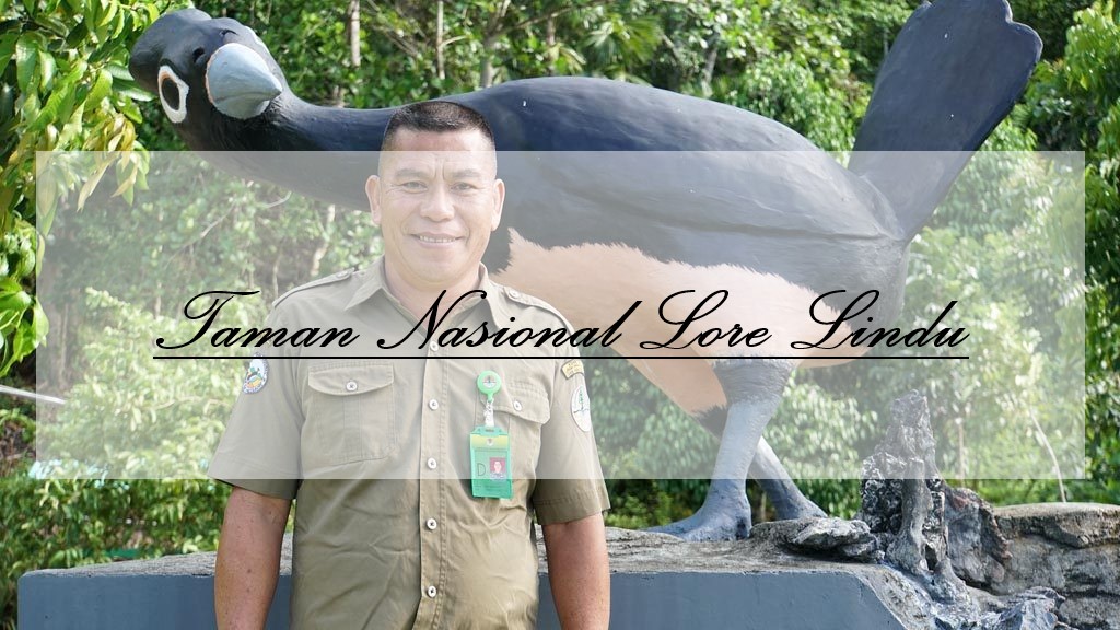 Penangkaran Burung Maleo : Taman Nasional Lore Lindu, Sulawesi Tengah