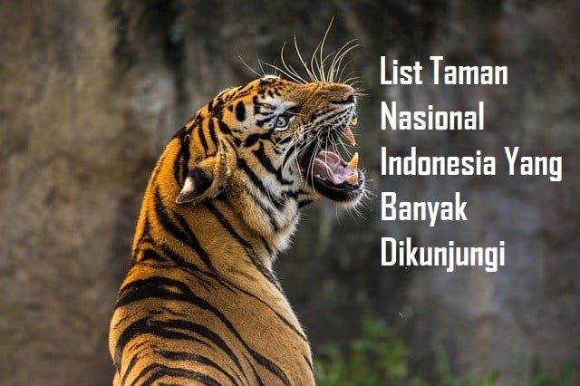 List Taman Nasional Indonesia Yang Banyak Dikunjungi